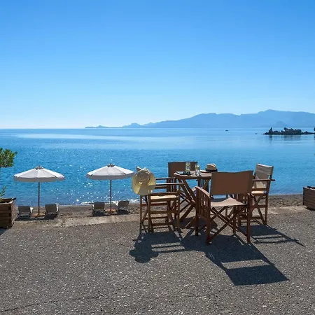 Paradise * Χαράκι