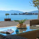 فيلة Paradise