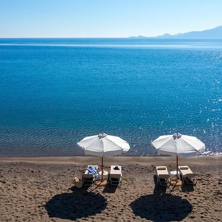 Paradise * Charaki
