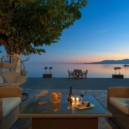 Paradise فيلة