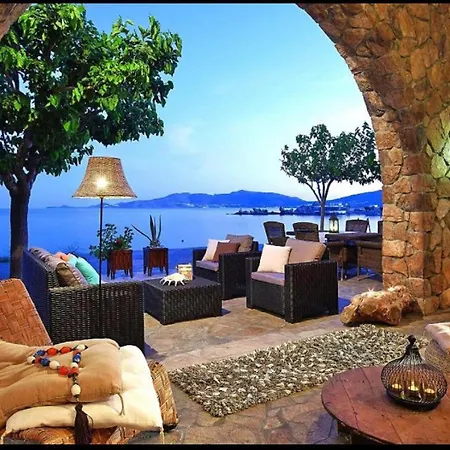 Paradise * Charaki